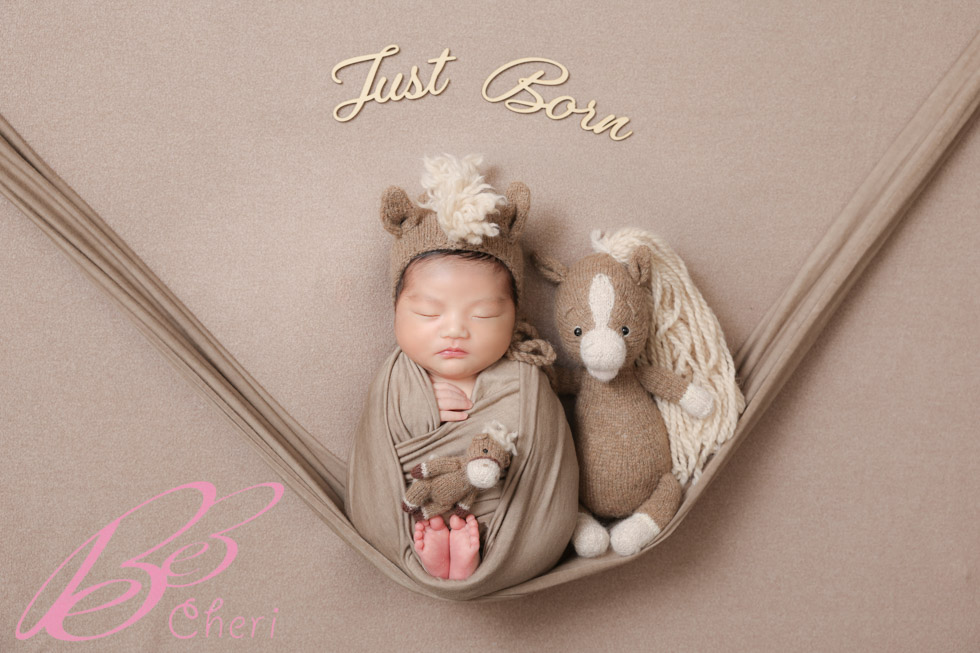 お正月らしい干支のニューボーンフォト3