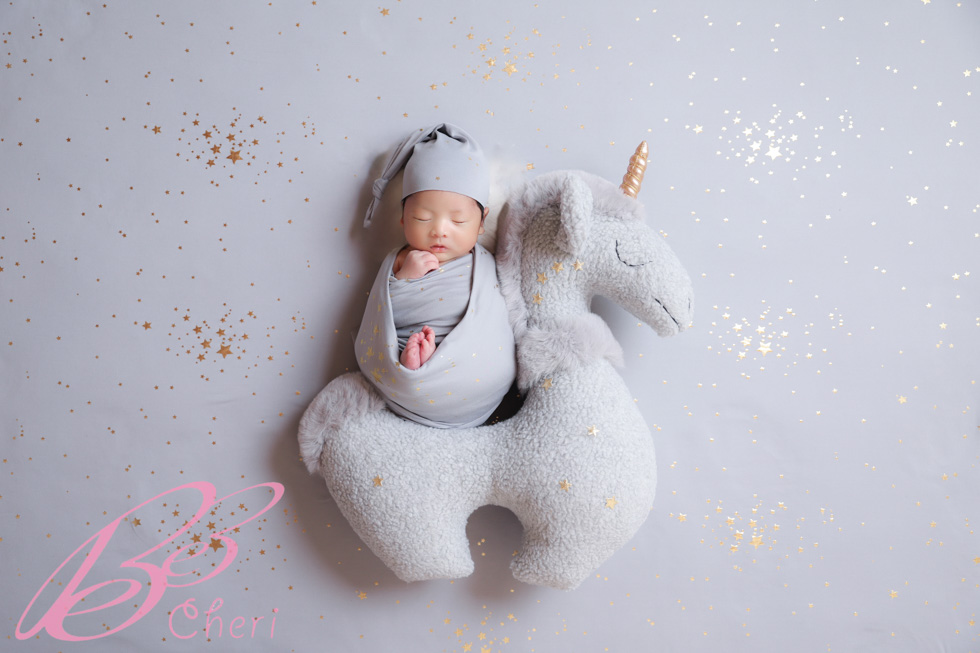 お正月らしい干支のニューボーンフォト1