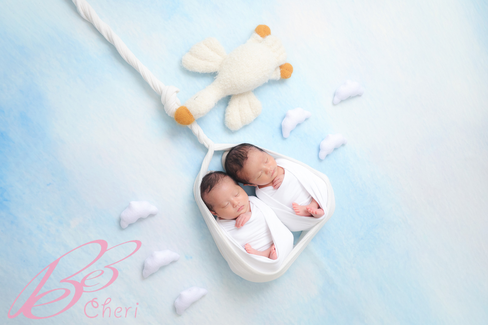 神奈川県横浜市港北区で双子ニューボーンフォト出張撮影 コウノトリが運ぶ赤ちゃんのアートポーズ