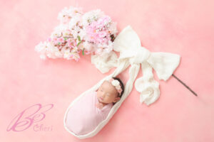 東京都港区南麻布で桜のニューボーンフォト出張撮影 桜の枝に吊るされた赤ちゃんのアートポーズ